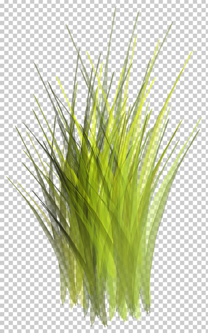 Green Google S PNG, Clipart, Background, Beautiful, Beautiful Grass, Commodity, Designer Free PNG Download