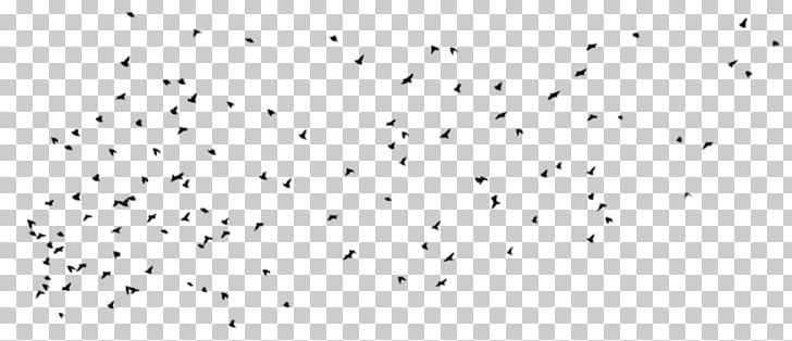 Line Point Animal Migration White Font PNG, Clipart, Animal Migration, Black And White, Constellations, Flock, Human Migration Free PNG Download