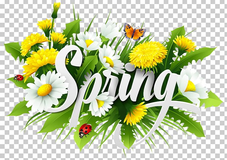 Season Spring Euclidean PNG, Clipart, Annual Plant, Art, Chrysanths, Computer Icons, Cut Flowers Free PNG Download