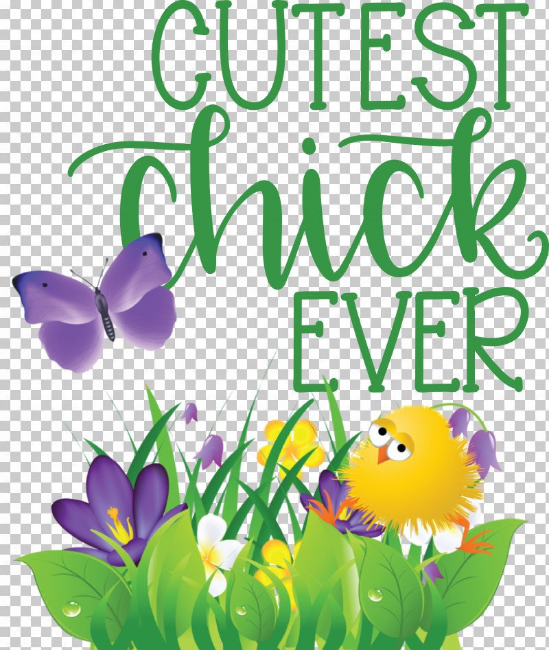 Floral Design PNG, Clipart, Cut Flowers, Floral Design, Flower, Insects, Meter Free PNG Download