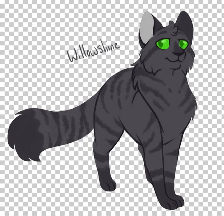 Black Cat Korat Domestic Short-haired Cat Warriors Willowshine PNG ...