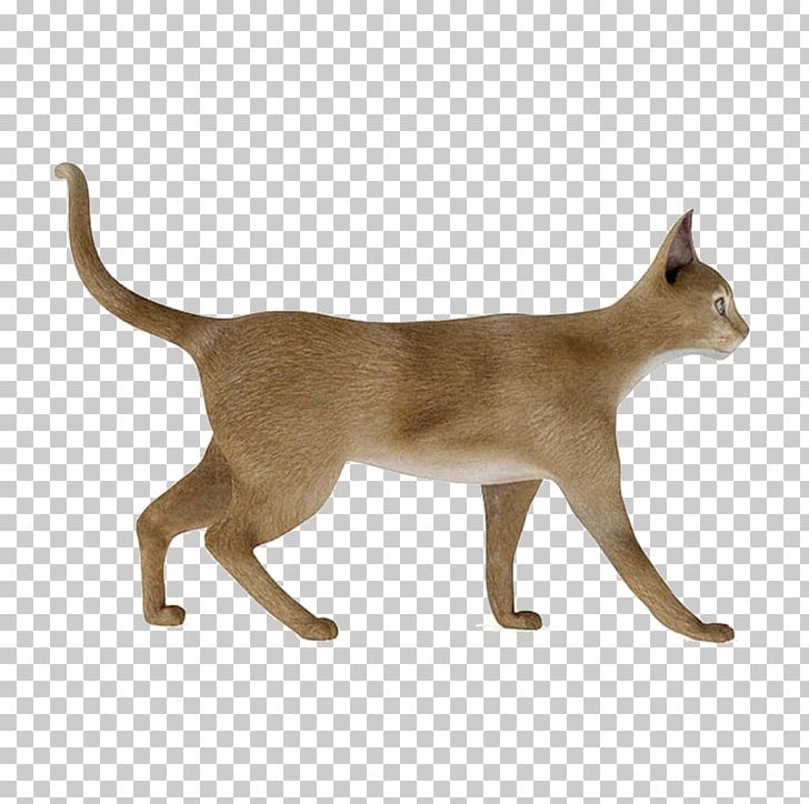 Cat 3D Computer Graphics 3D Modeling Autodesk 3ds Max Texture Mapping PNG, Clipart, 3d Computer Graphics, 3d Modeling, Abyssinian, Animal, Animals Free PNG Download