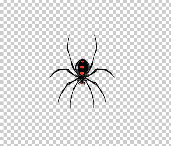 Jacksonville Widow Spiders PNG, Clipart, Animal, Arachnid, Arthropod, Black Widow, Cartoon Free PNG Download