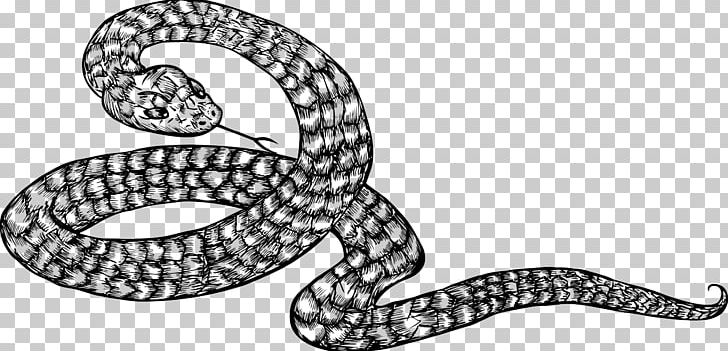 Kingsnakes Black And White Illustration PNG, Clipart, Animals, Black And White, Cobra, Cobras, Coil Free PNG Download