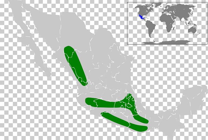 Mexico City Guanajuato United States Map Globe PNG, Clipart, Area, Blank Map, City Map, Flag Of Mexico, Geography Free PNG Download