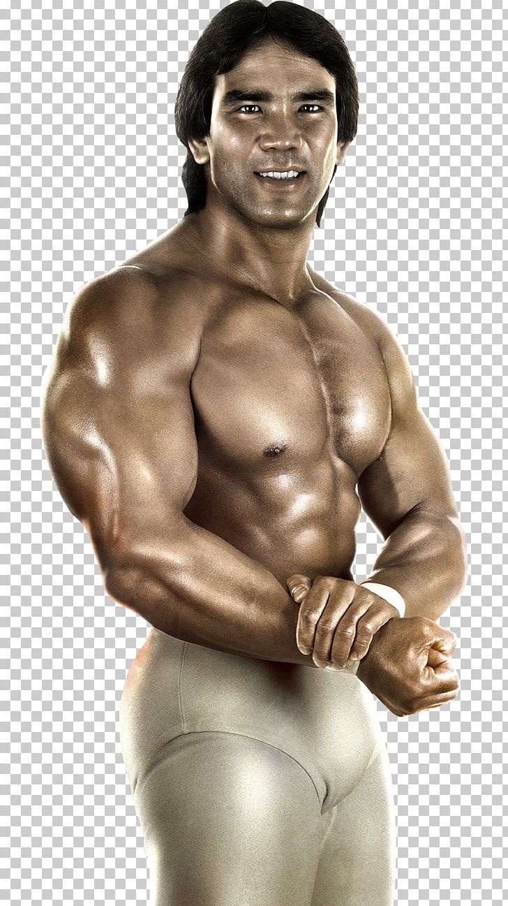 Ricky Steamboat WWE 2K14 WWE '13 WrestleMania VI WWE Raw PNG, Clipart, Abdomen, Arm, Barechestedness, Biceps Curl, Bodybuilder Free PNG Download