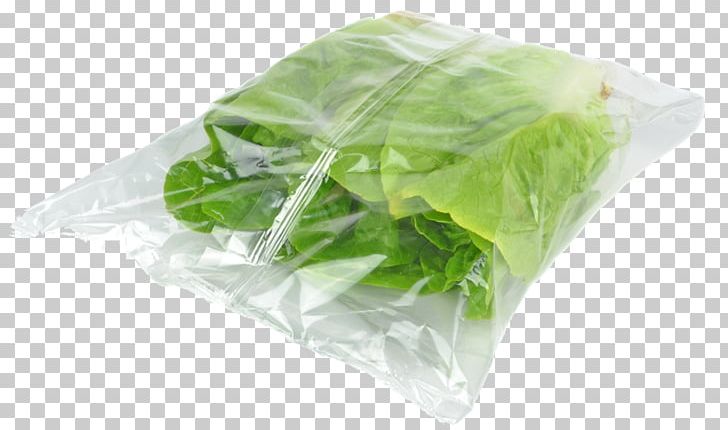 Plastic Bag Packaging And Labeling Salad Biodegradable Plastic PNG, Clipart, Biodegradable Plastic, Chard, Collard Greens, Food, Food Safety News Free PNG Download