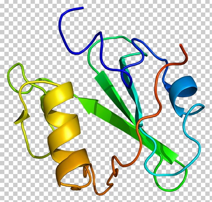 Signal Transducing Adaptor Protein SH2 Domain SHCBP1 Protein–protein Interaction PNG, Clipart, Apoptosis, Artwork, Biomolecule, Ephrin, Gene Free PNG Download