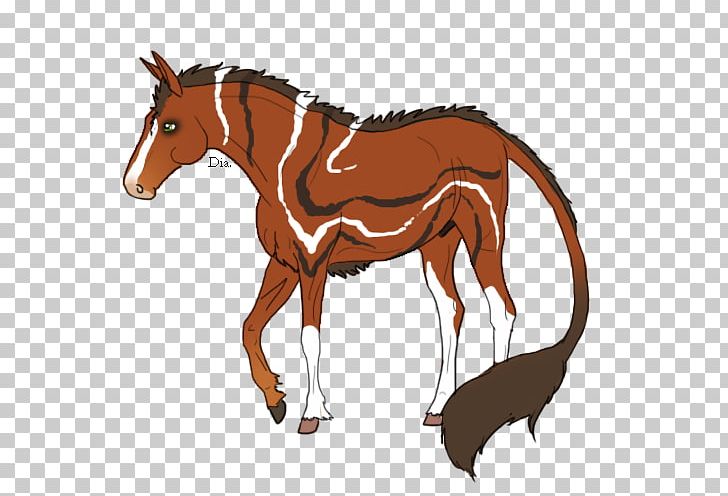 Mule Foal Stallion Mare Colt PNG, Clipart, Animals, Bit, Bridle, Colt, Donkey Free PNG Download