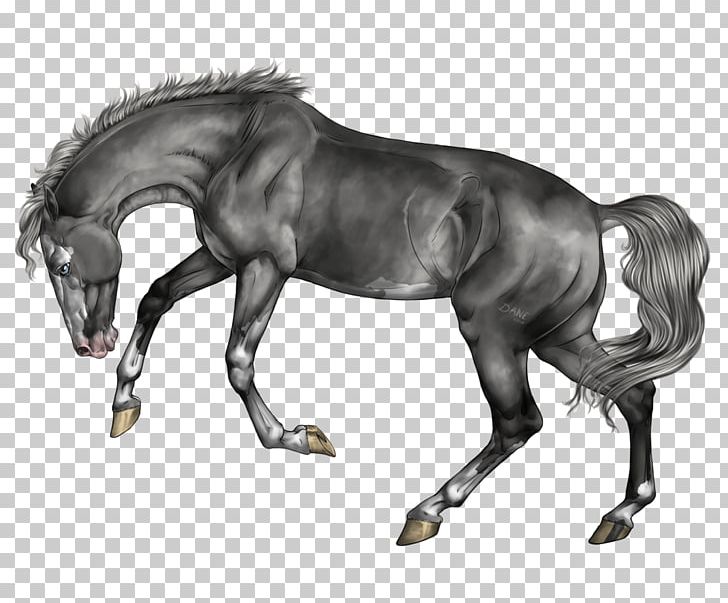 Pony Mustang Stallion Foal Colt PNG, Clipart, Bridle, Colt, English Riding, Equestrian, Foal Free PNG Download