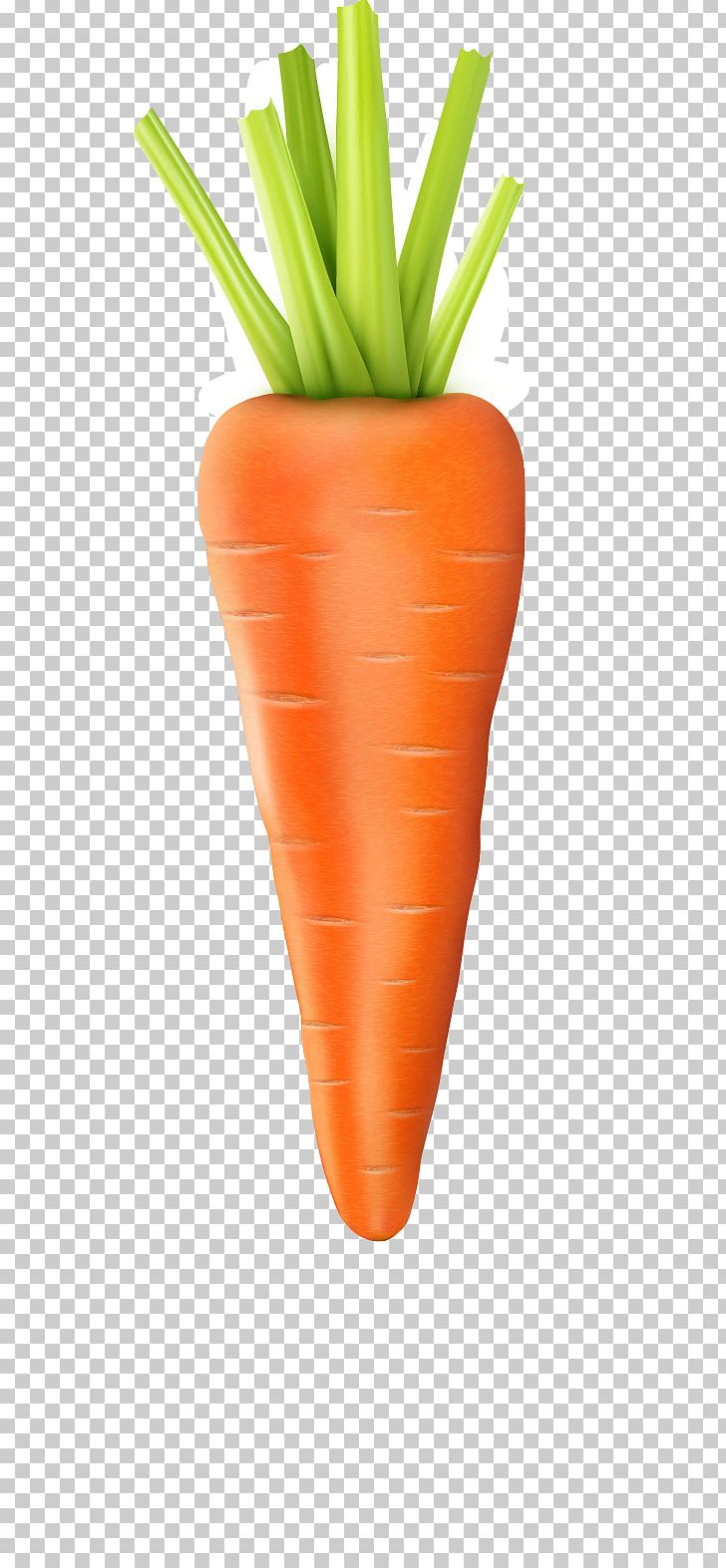 Baby Carrot Vegetable PNG, Clipart, Bunch Of Carrots, Carrot, Carrot Cartoon, Carrot Creative, Carrot Juice Free PNG Download
