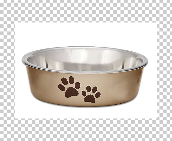 Dog Bowl Pet Veterinarian Puppy PNG, Clipart, Animals, Bella, Bowl, Cat, Champagne Free PNG Download