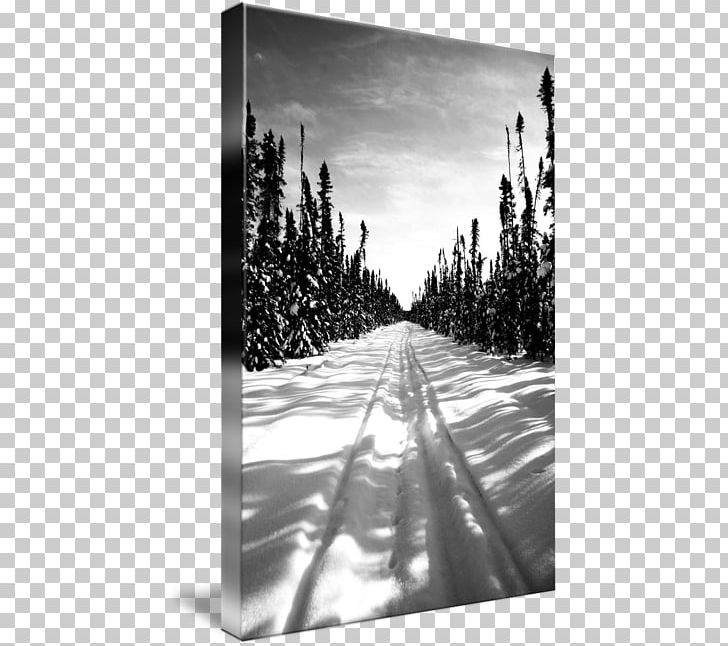 Gallery Wrap Canvas Winter Art Photography PNG, Clipart, Art, Black And White, Canvas, Freezing, Gallery Wrap Free PNG Download