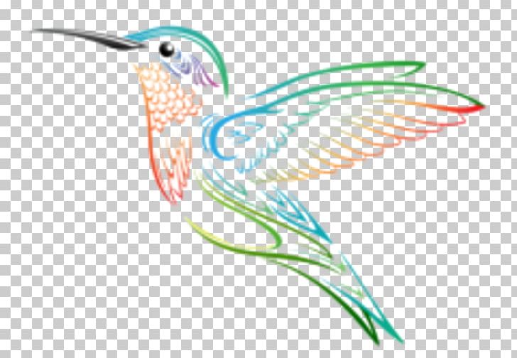 Hummingbird PNG, Clipart, Animation, Beak, Bird, Cartoon, Desktop Wallpaper  Free PNG Download