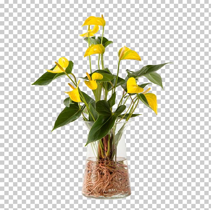 Floral Design Cut Flowers Vase Flower Bouquet PNG, Clipart, Cut Flowers, Floral Design, Floristry, Flower, Flower Arranging Free PNG Download