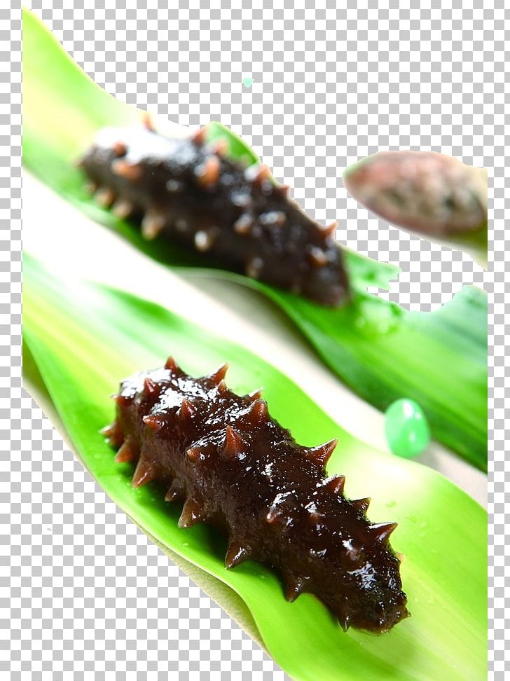 Sea Cucumber As Food Seafood Tsukudani Ingredient PNG, Clipart, Designer, Dish, Download, Encapsulated Postscript, Famous Free PNG Download