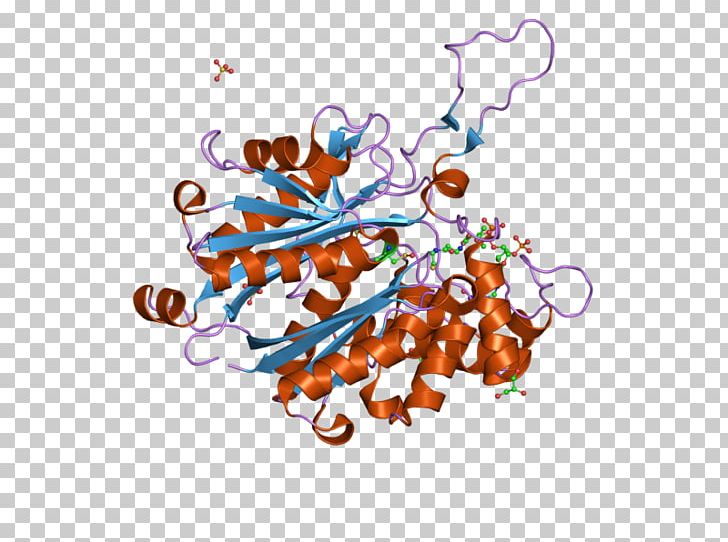 Thiolase Bioinformatics ACAT1 ACAT2 Acetyl-CoA C-acetyltransferase PNG, Clipart, Area, Art, Bioinformatics, Coa, Complex Free PNG Download