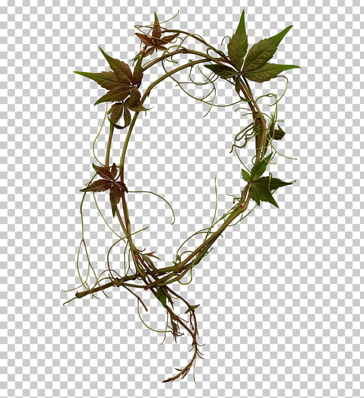 Twig Plant Stem Flowerpot Leaf PNG, Clipart, Branch, Cicek, Cicek Resimleri, Flora, Flower Free PNG Download
