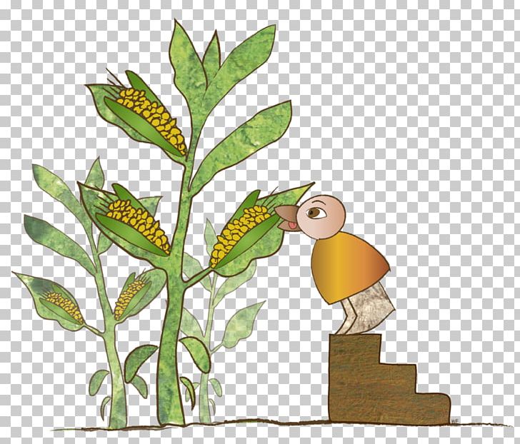 Beak Flora Fauna PNG, Clipart, Beak, Bird, Branch, Branching, Eating Corn Free PNG Download