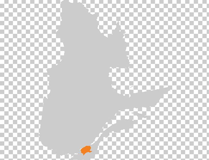 Blake Medical Distribution Inc. Gaspésie–Îles-de-la-Madeleine Quebec City Estrie Map PNG, Clipart, Advertising, Canada, Estrie, Frazier Industrial Co, Map Free PNG Download
