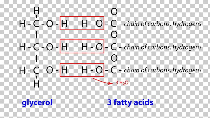 Document Line Angle Triglyceride Brand PNG, Clipart, Angle, Area, Brand, Circle, Diagram Free PNG Download