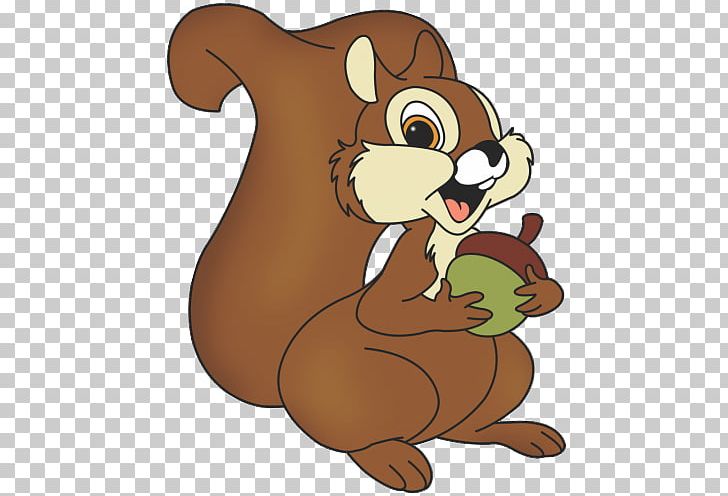 Eastern Gray Squirrel Raccoons PNG, Clipart, Animals, Bear, Beaver, Black Squirrel, Carnivoran Free PNG Download