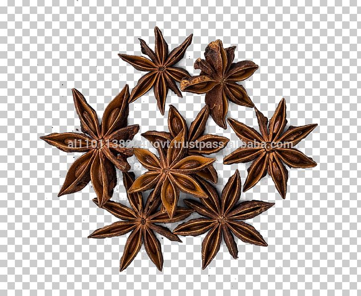 Five-spice Powder Curry Chinese Cuisine Star Anise PNG, Clipart, Anise, Chinese Cuisine, Cinnamon, Condiment, Curry Free PNG Download