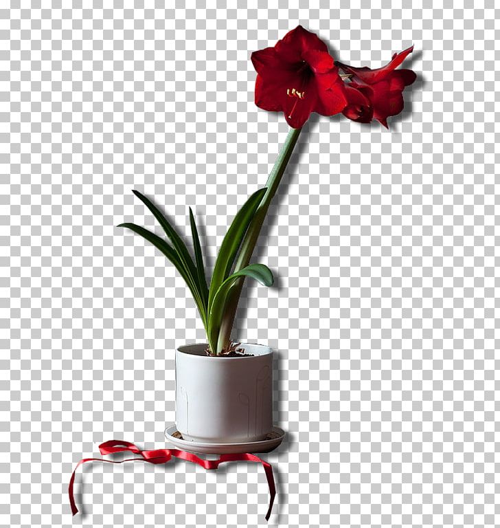 Flower Hippeastrum PNG, Clipart, Amaryllis Belladonna, Amaryllis Family, Computer Icons, Cut Flowers, Fleur Free PNG Download