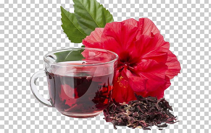 Hibiscus Tea Roselle Drink Iced Tea PNG, Clipart, Caffeine, Coffee Cup, Cup, Da Hong Pao, Drink Free PNG Download