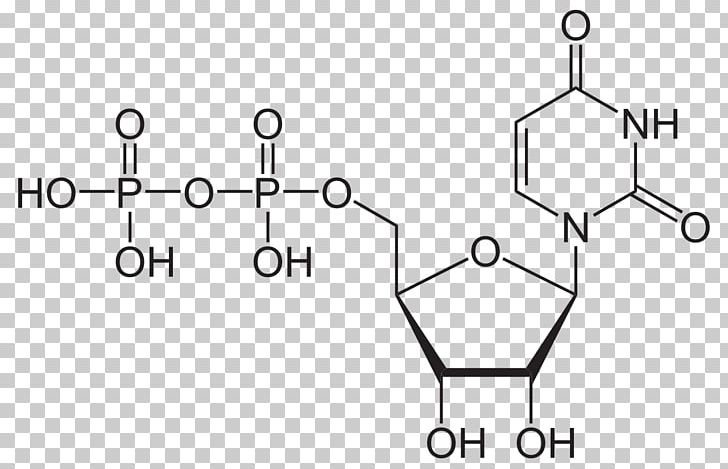 Uridine Triphosphate Nucleotide Uridine Diphosphate Uridine Monophosphate PNG, Clipart, Angle, Auto Part, Material, Miscellaneous, Monochrome Free PNG Download