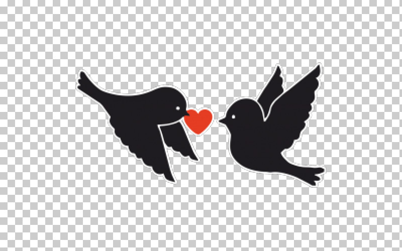 Bird Beak Wing Blackbird Logo PNG, Clipart, Beak, Bird, Blackbird, European Swallow, Logo Free PNG Download