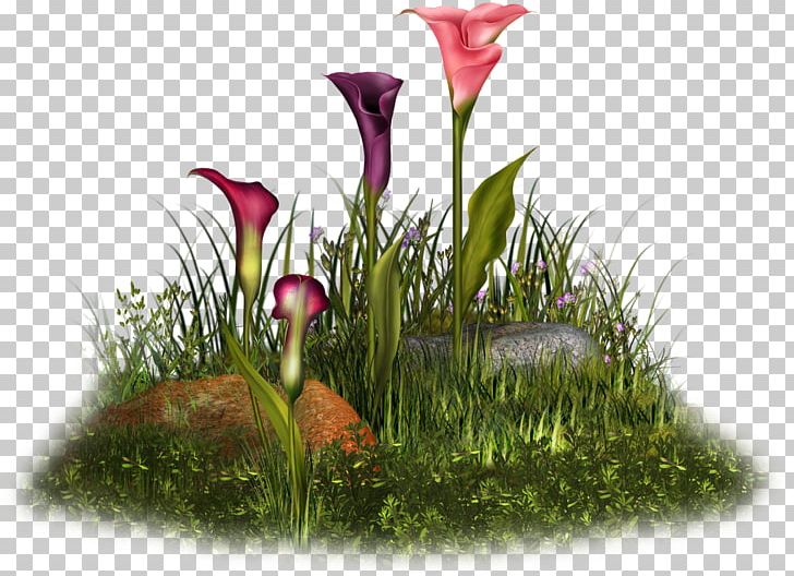 Flower Floral Design Final Fantasy II Floristry Petal PNG, Clipart, Calla, Deviantart, Final Fantasy Ii, Flora, Floral Design Free PNG Download