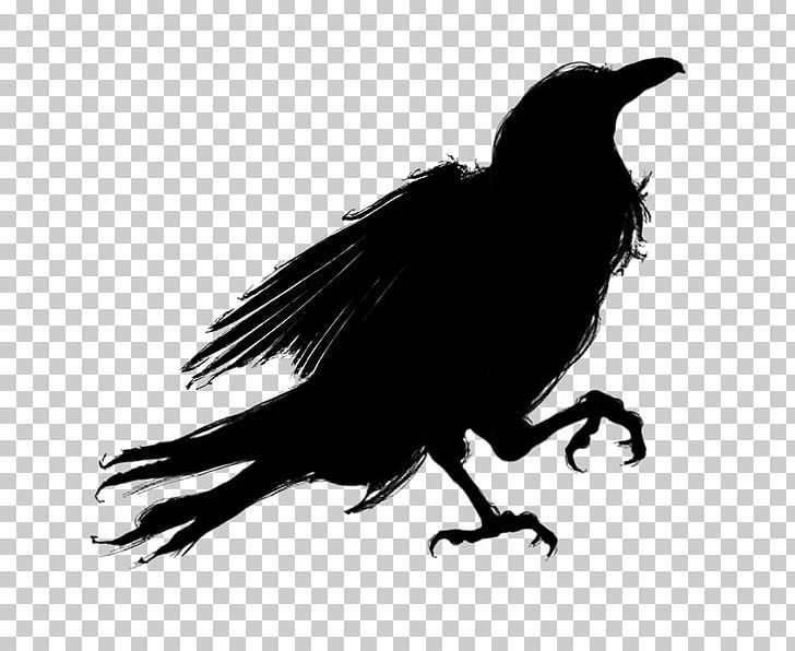 Silhouette Bird American Crow PNG, Clipart, 3d Animated, American Crow, Animals, Beak, Bird Free PNG Download