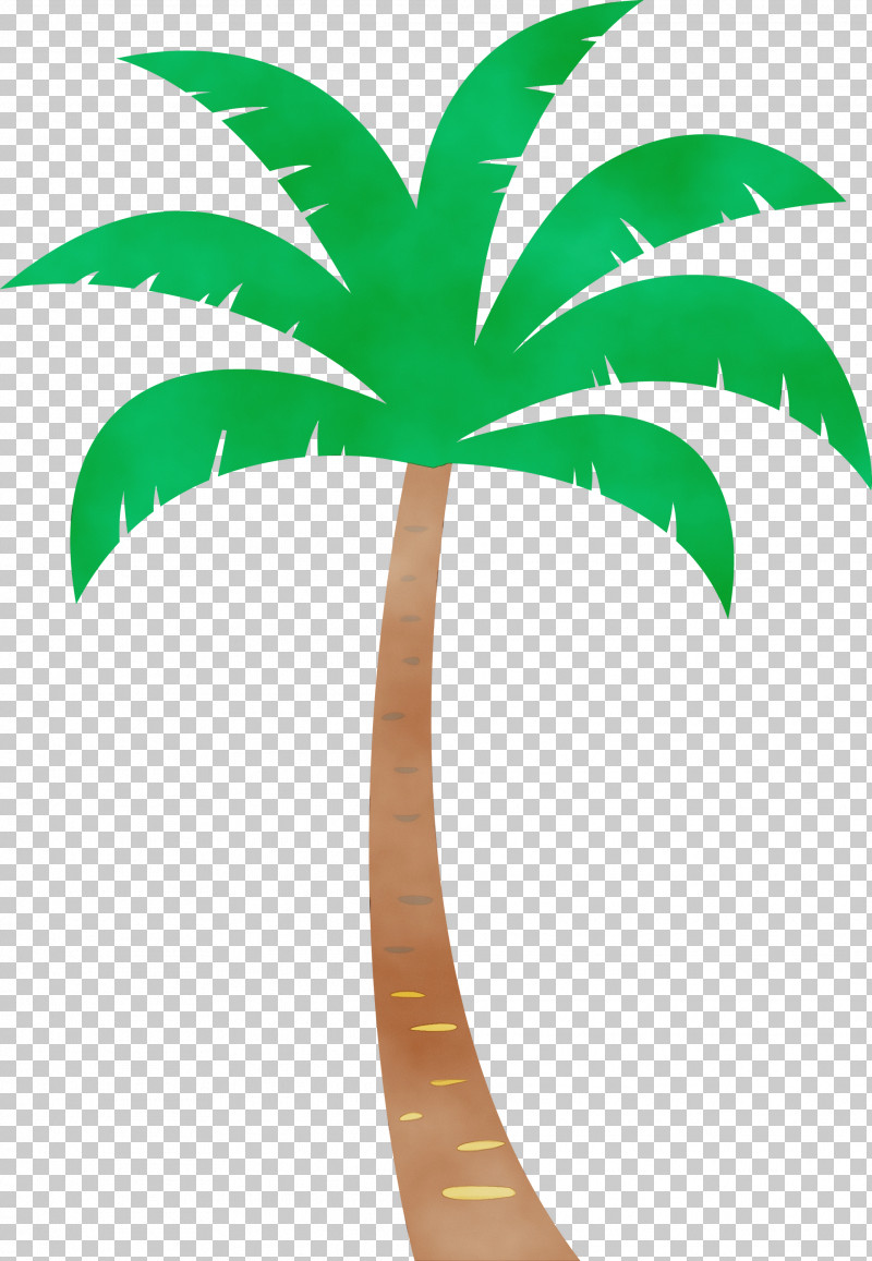 Palm Trees PNG, Clipart, Beach, Biology, Cartoon Tree, Flowerpot, Leaf Free PNG Download