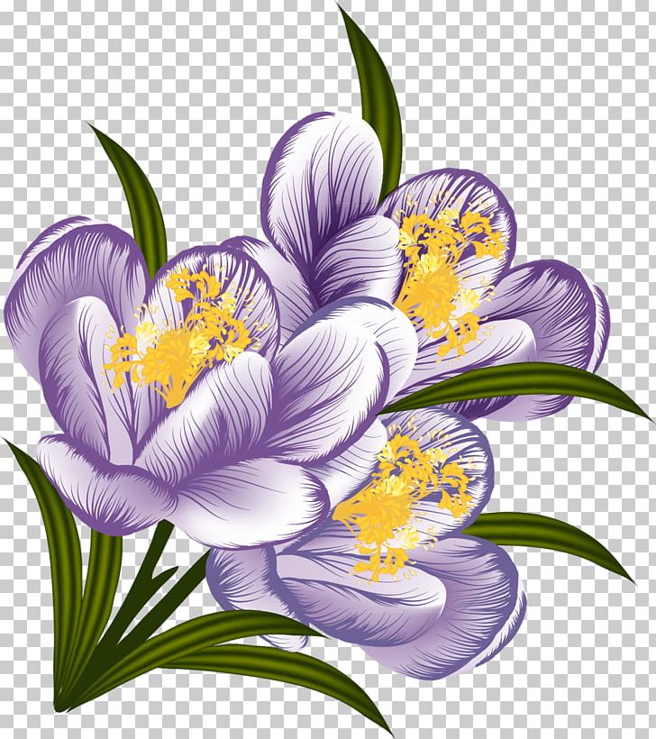 Flower Crocus PNG, Clipart, Crocus, Download, Floral Design, Flower, Flowering Plant Free PNG Download