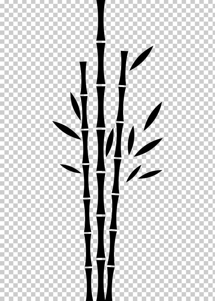 Sticker Tree Vinyl Group Bamboo Wall PNG, Clipart, Adhesive, Bamboo, Black And White, Branch, Clothes Hanger Free PNG Download