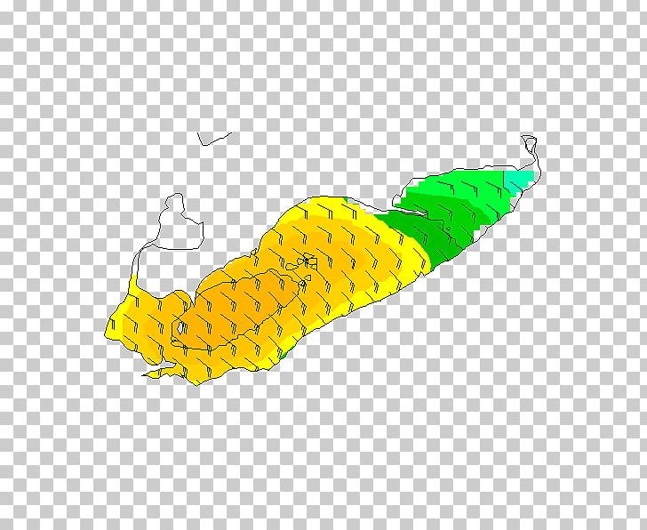 Corn On The Cob Insect PNG, Clipart, Animals, Corn On The Cob, Fish, Gust, Insect Free PNG Download