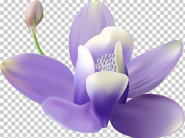 Flower Mural Wall Painting PNG, Clipart, Art, Creative Work, Flower, Flowering Plant, Lilac Free PNG Download