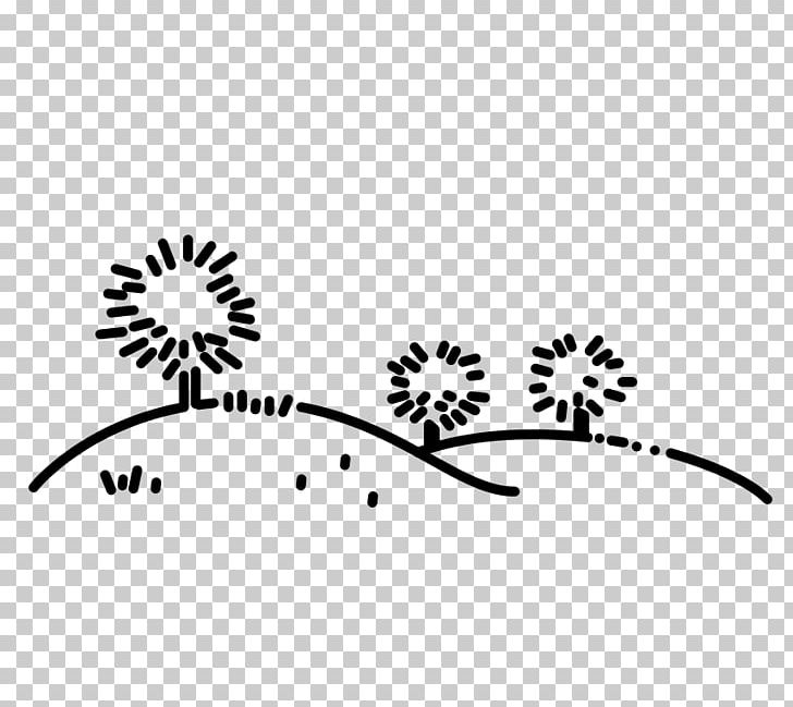 Monochrome Photography Black And White PNG, Clipart, Area, Black, Black And White, Branch, Flora Free PNG Download