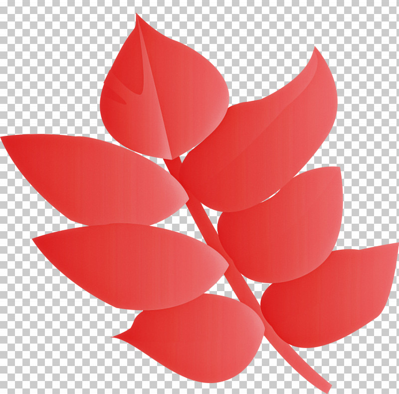 Red Petal Leaf Flower Plant PNG, Clipart, Flower, Herbaceous Plant, Leaf, Petal, Plant Free PNG Download
