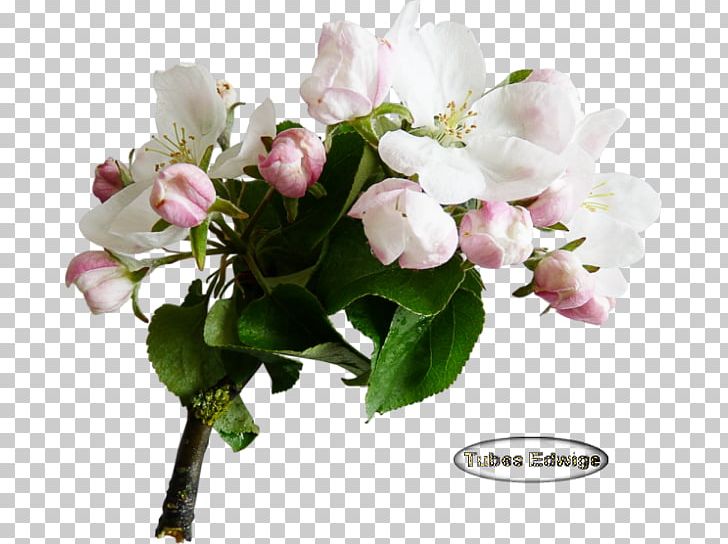 Floral Design Cut Flowers Flower Bouquet Artificial Flower PNG, Clipart, Accommodation, Artificial Flower, Blossom, Branch, Breakfast Free PNG Download