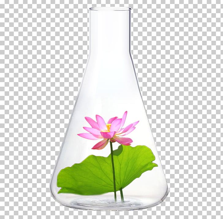 Glass Bottle Vase Liquid PNG, Clipart, Bottle, Flower, Flowerpot, Glass, Glass Bottle Free PNG Download