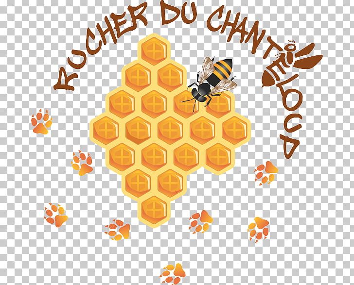 Honey Bee Rucher Du Chanteloup Beehive Honeycomb Beekeeping PNG, Clipart, Apiary, Bee, Beehive, Beekeeper, Beekeeping Free PNG Download