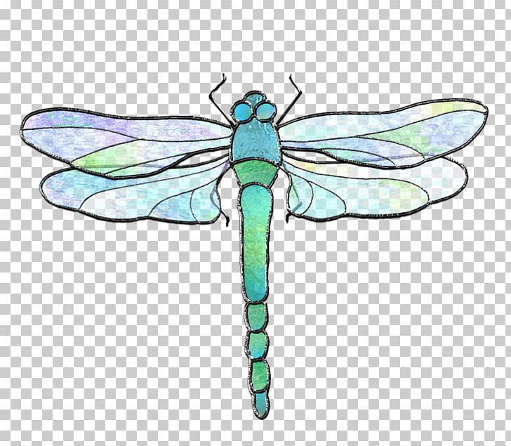 Insect Dragonfly Invertebrate Pollinator PNG, Clipart, Arthropod, Artwork, Butterflies And Moths, Cartoon, Dragonflies And Damseflies Free PNG Download