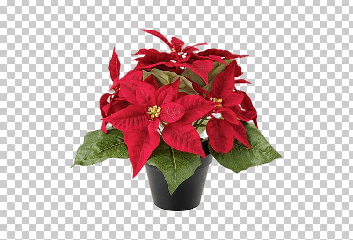 Poinsettia Flower Christmas Plants Rose PNG, Clipart, Annual Plant, Artificial, Artificial Flower, Christmas, Christmas Plants Free PNG Download