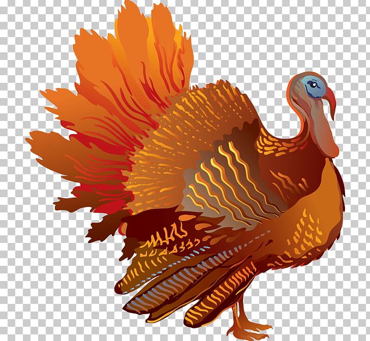 Turkey Meat Thanksgiving PNG, Clipart, Beak, Bird, Chicken, Computer Icons, Desktop Wallpaper Free PNG Download