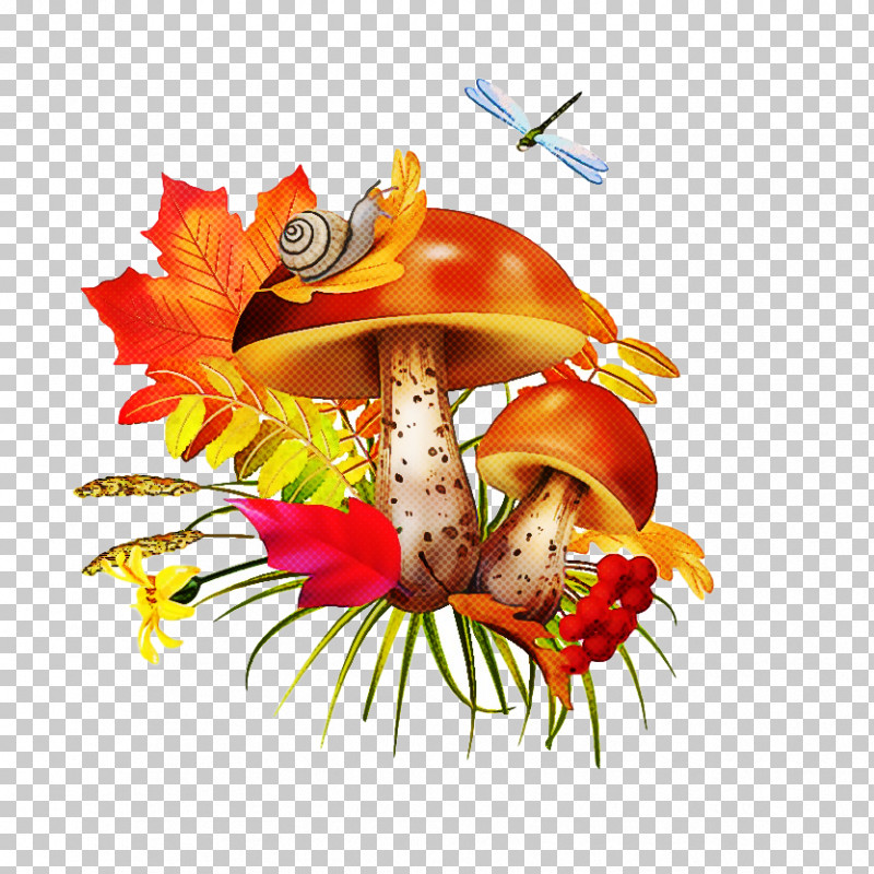 Mushroom Hermit Crab PNG, Clipart, Hermit Crab, Mushroom Free PNG Download