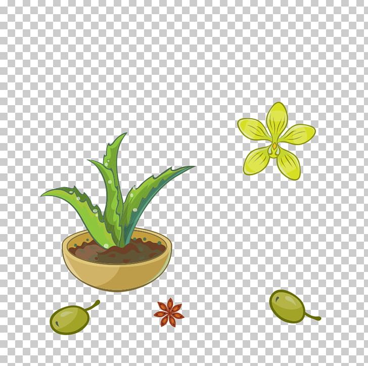 Aloe Vera Green Plant Flowerpot PNG, Clipart, Aloe, Aloe Vera, Five, Flora, Flower Free PNG Download