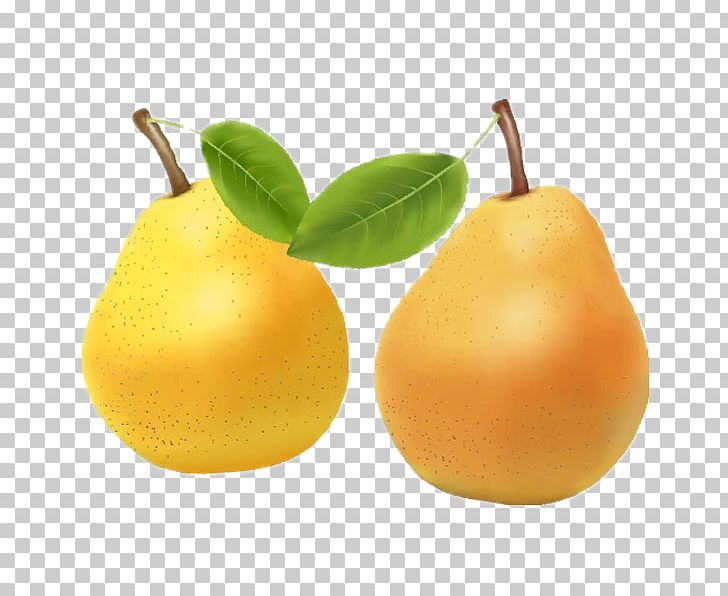 Pear Orange Juice Tangerine Tangelo Mandarin Orange PNG, Clipart, Bitter Orange, Blood Orange, Citrus, Citrus Junos, Clementine Free PNG Download