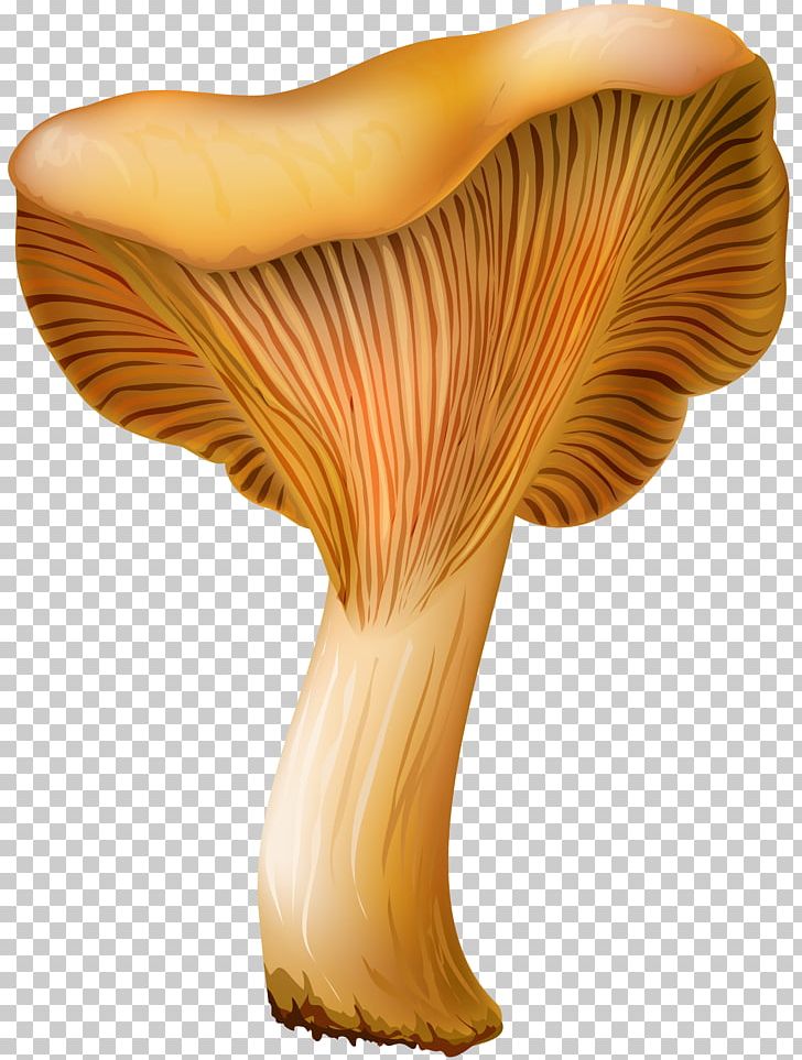 Pleurotus Eryngii Edible Mushroom Portable Network Graphics PNG, Clipart, Agaricaceae, Chanterelle, Edible Mushroom, Fungus, Information Free PNG Download